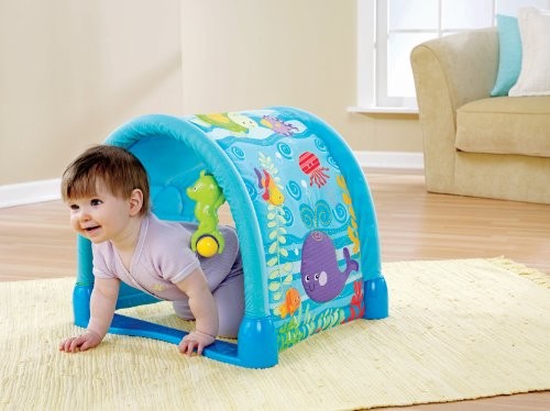 fisher price ocean wonders gym