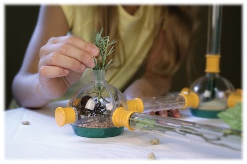 Backyard Safari Bug Podz Buy Online At The Nile