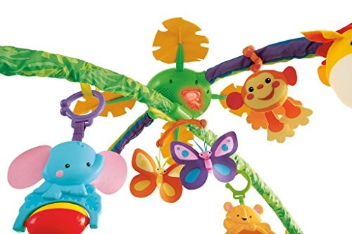 fisher price deluxe gym