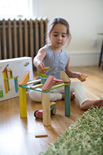 tegu magnetic blocks 42 piece