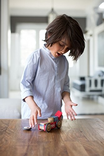 tegu daredevil magnetic wooden block set
