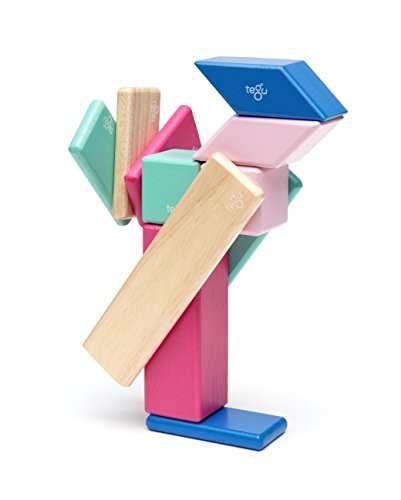 tegu magnetic blocks 14 piece