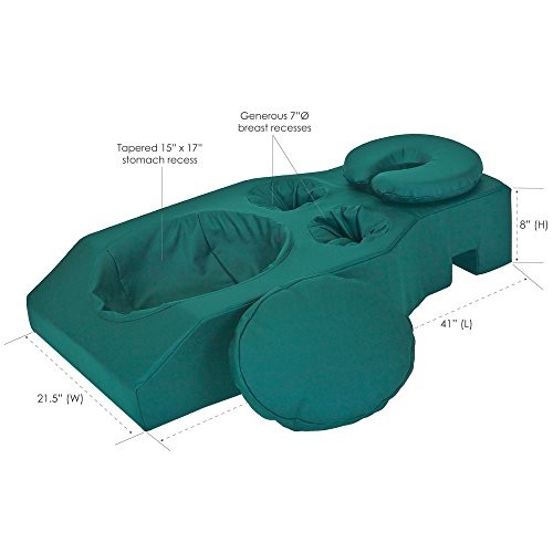 Earthlite Pregnancy Massage Cushion Headrest Full Body
