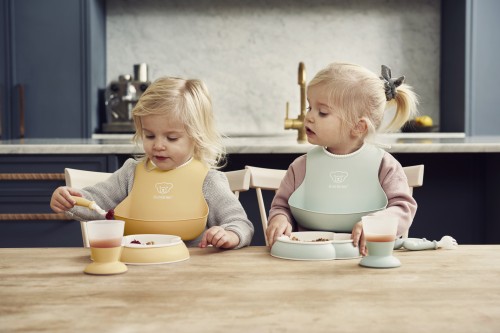 babybjorn feeding set