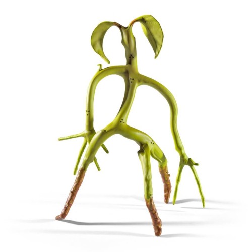 Harry Potter Bendable Bowtruckle Buy Online At The Nile