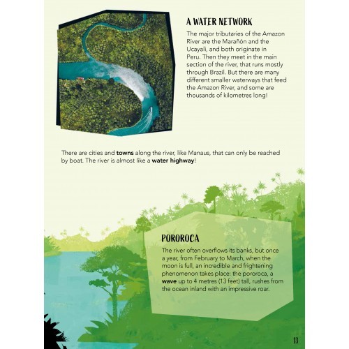 Save the Planet Puzzle and Book Set - The Amazon Save the Planet Puzzle and Book Set - The Amazon
