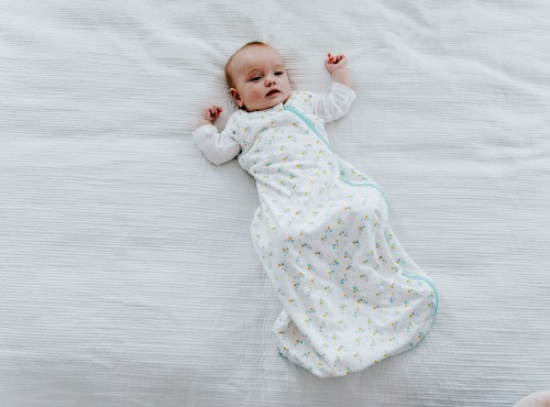 Grobag snuggle online 2.5 tog