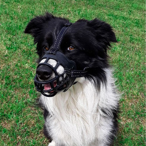 freedom muzzle