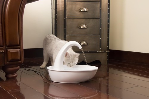 Pioneer pet swan online pet drinking fountain